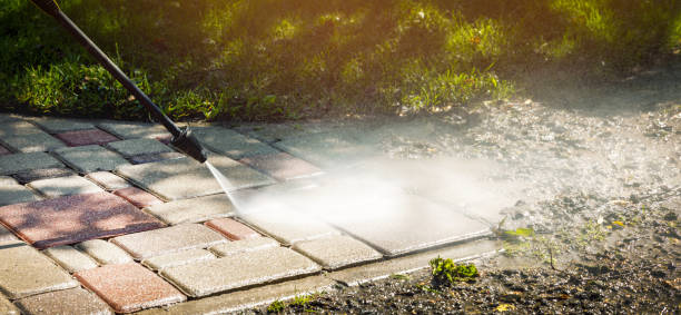 Best Sidewalk and Walkway Cleaning  in Piednt, MO